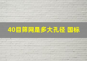 40目筛网是多大孔径 国标